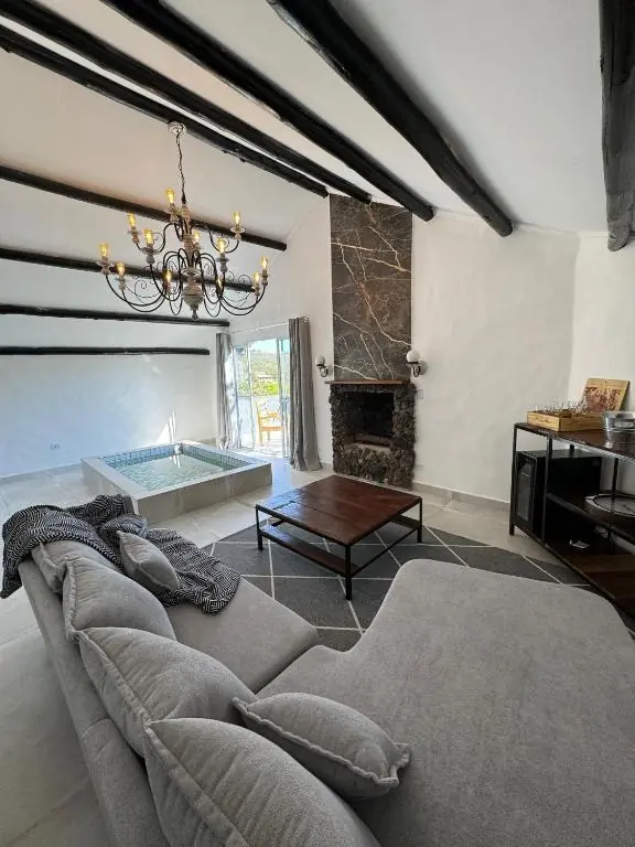 Sala com sofá, lareira e piscina interna durante o dia